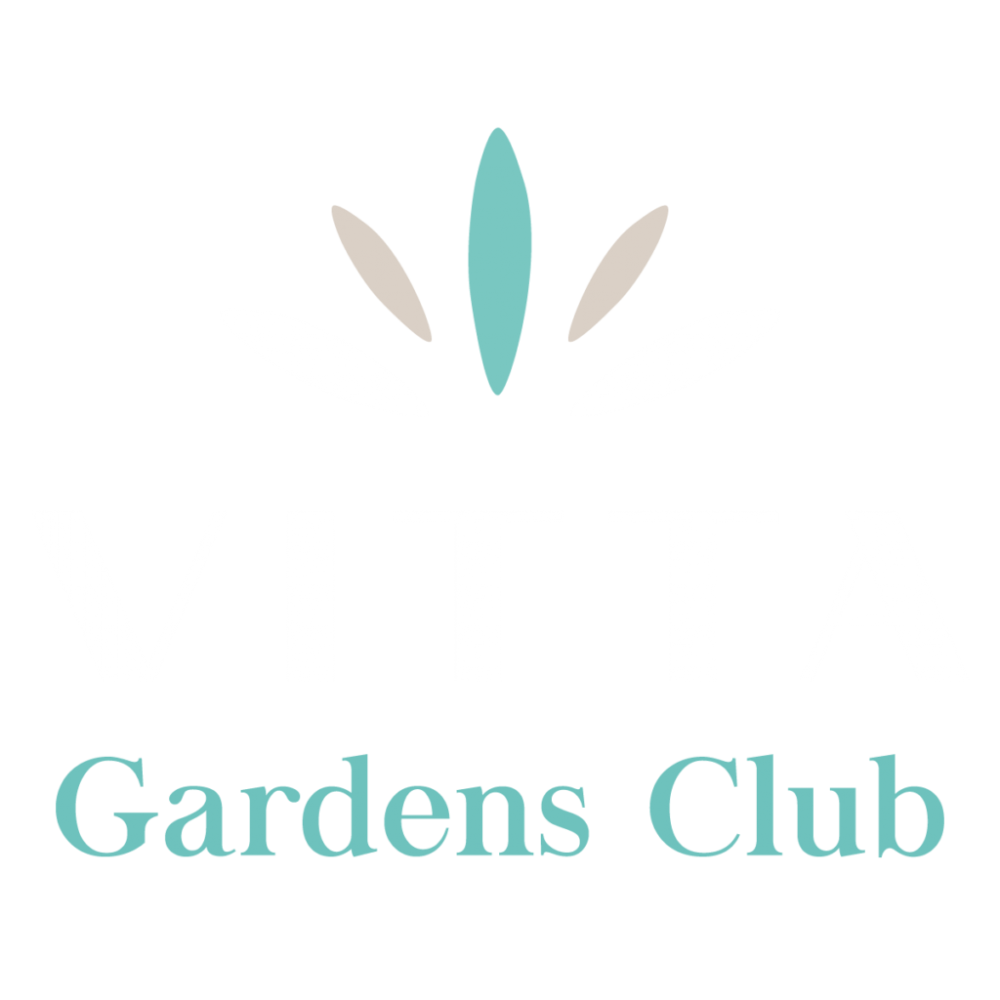 Vitta Gardens | Prime P5 -  